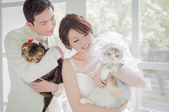 禮服出租 首選最愛 婚紗禮服，各式款式 晚宴禮服、新娘禮服、晚禮服 供挑選。#禮服出租 #婚紗禮服 #晚宴禮服 #新娘禮服 #晚禮服