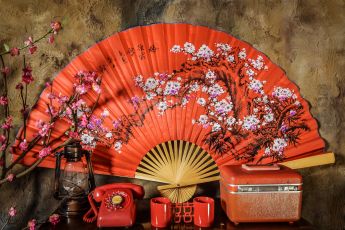 禮服出租 首選最愛 婚紗禮服，各式款式 晚宴禮服、新娘禮服、晚禮服 供挑選。#禮服出租 #婚紗禮服 #晚宴禮服 #新娘禮服 #晚禮服