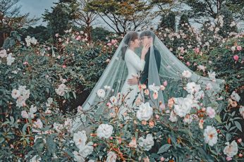 禮服出租 首選最愛 婚紗禮服，各式款式 晚宴禮服、新娘禮服、晚禮服 供挑選。#禮服出租 #婚紗禮服 #晚宴禮服 #新娘禮服 #晚禮服
