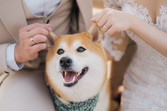 禮服出租 首選最愛 婚紗禮服，各式款式 晚宴禮服、新娘禮服、晚禮服 供挑選。#禮服出租 #婚紗禮服 #晚宴禮服 #新娘禮服 #晚禮服